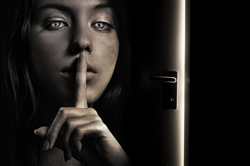 Veiled Secrets