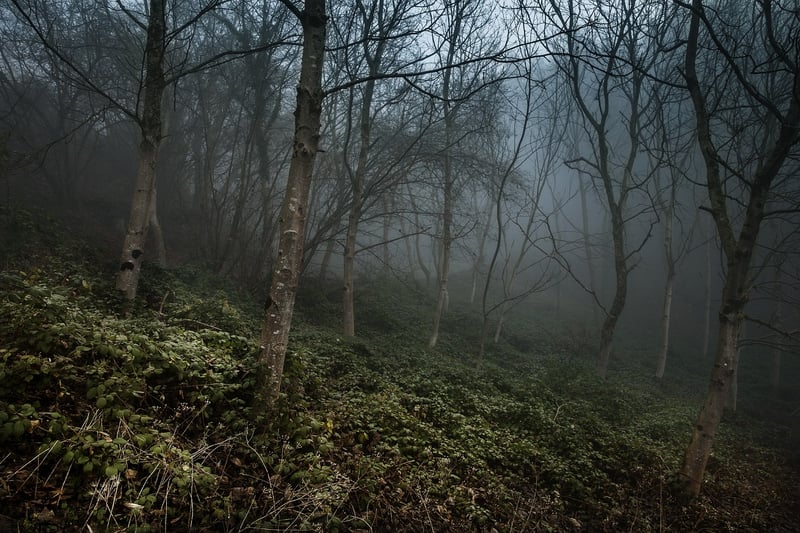 Mysterious Whisper