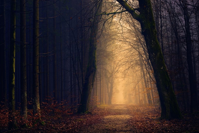 Mystery